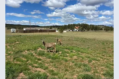 489 Duesouth Road, Florissant, CO 80816 - Photo 3
