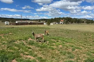 489 Duesouth Rd, Florissant, CO 80816 - Photo 3