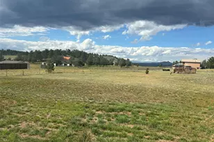 489 Duesouth Rd, Florissant, CO 80816 - Photo 43