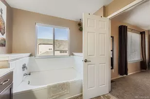 6452 Silver Mesa Dr, Highlands Ranch, CO 80130 - Photo 19