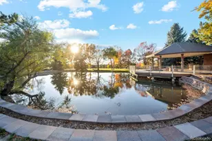 6452 Silver Mesa Dr, Highlands Ranch, CO 80130 - Photo 35