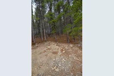 Lot 935 Silver Creek Road, Idaho Springs, CO 80452 - Photo 5