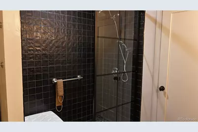 640 N Magnolia Street, Denver, CO 80220 - Photo 27