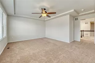 3359 Starry Night Loop, Castle Rock, CO 80109 - Photo 23