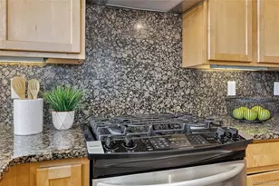 1313 S Clarkson St, Denver, CO 80210 - Photo 15