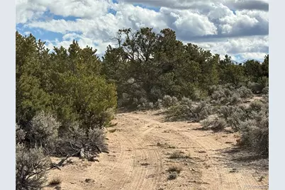 00 Vacant Land, Fort Garland, CO 81133 - Photo 5