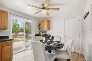 13255 Saturn Dr, Lone Tree, CO 80124 - Photo 11