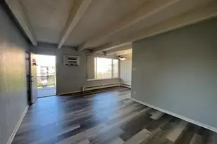 250 N Pearl St, Denver, CO 80203 - Photo 5