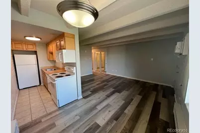 250 N Pearl Street #308, Denver, CO 80203 - Photo 11