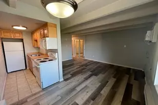 250 N Pearl St, Denver, CO 80203 - Photo 11