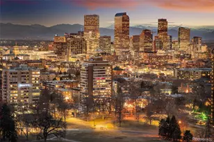 1133 Race St, Denver, CO 80206 - Photo 15