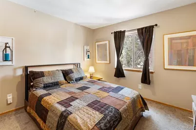 509 N Center Street, Woodland Park, CO 80863 - Photo 35