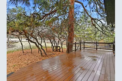 5825 Irish Pat Murphy Drive, Parker, CO 80134 - Photo 35