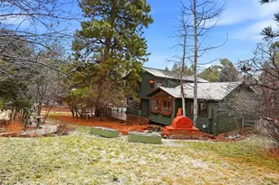 5825 Irish Pat Murphy Dr, Parker, CO 80134 - Photo 39