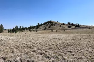 0000 Falcon Rd, Hartsel, CO 80449 - Photo 1