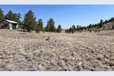 0000 Falcon Road, Hartsel, CO 80449 - Photo 3