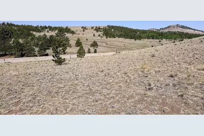 0000 Falcon Road, Hartsel, CO 80449 - Photo 15