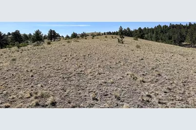 0000 Falcon Road, Hartsel, CO 80449 - Photo 17