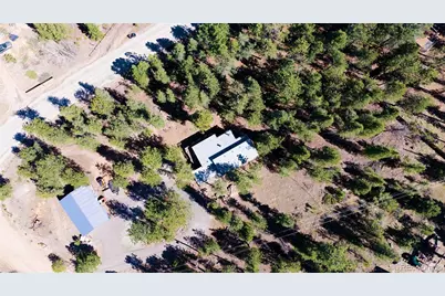 20 Long Ridge Drive, Bailey, CO 80421 - Photo 39