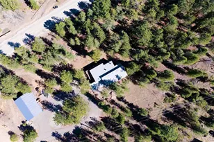 20 Long Ridge Dr, Bailey, CO 80421 - Photo 39