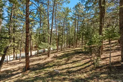20 Long Ridge Drive, Bailey, CO 80421 - Photo 41