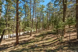 20 Long Ridge Dr, Bailey, CO 80421 - Photo 41