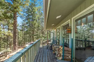 20 Long Ridge Dr, Bailey, CO 80421 - Photo 15