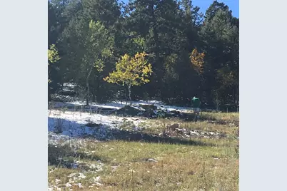14745 Wetterhorn Peak Trail, Pine, CO 80470 - Photo 1