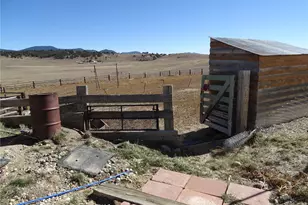 278 Cherokee Trail, Hartsel, CO 80449 - Photo 39