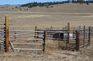 278 Cherokee Trail, Hartsel, CO 80449 - Photo 41