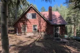 103 Forest Haven Lane, Idaho Springs, CO 80452 - Photo 21