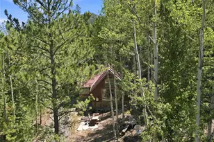103 Forest Haven Lane, Idaho Springs, CO 80452 - Photo 29