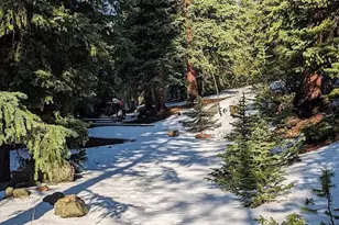 103 Forest Haven Lane, Idaho Springs, CO 80452 - Photo 45