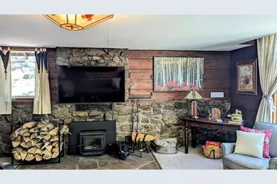 103 Forest Haven Lane, Idaho Springs, CO 80452 - Photo 7
