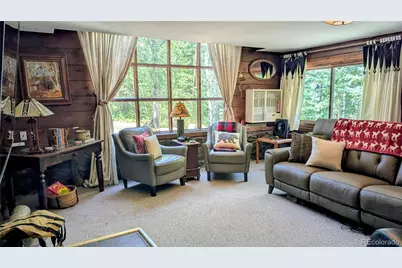 103 Forest Haven Lane, Idaho Springs, CO 80452 - Photo 9