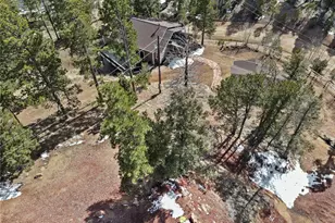 396 Mohawk Heights, Florissant, CO 80816 - Photo 35