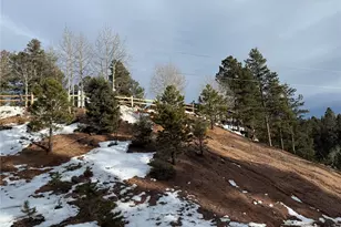 396 Mohawk Heights, Florissant, CO 80816 - Photo 35