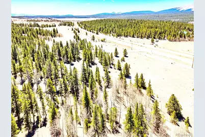 93 Placer Drive, Alma, CO 80420 - Photo 11
