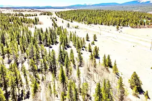 93 Placer Dr, Alma, CO 80420 - Photo 11