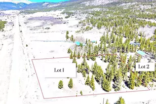 93 Placer Dr, Alma, CO 80420 - Photo 15