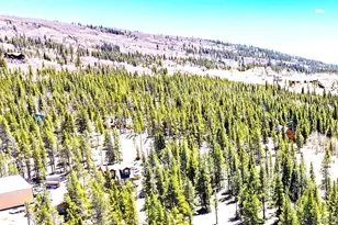 93 Placer Dr, Alma, CO 80420 - Photo 9