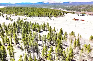 93 Placer Dr, Alma, CO 80420 - Photo 3