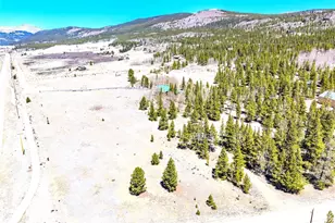 93 Placer Dr, Alma, CO 80420 - Photo 13