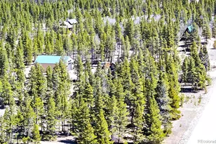 93 Placer Dr, Alma, CO 80420 - Photo 5