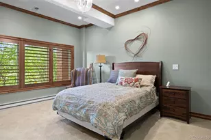 120 Silver Leaf Way, Castle Rock, CO 80108 - Photo 41