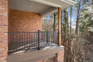 120 Silver Leaf Way, Castle Rock, CO 80108 - Photo 29