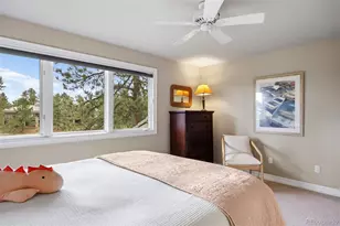 120 Silver Leaf Way, Castle Rock, CO 80108 - Photo 35