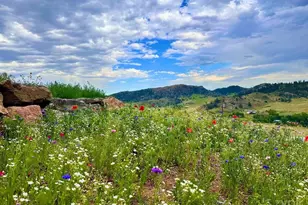 3050 W County Rd 82E, Livermore, CO 80536 - Photo 41