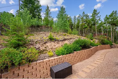 34155 Grouse Lane, Evergreen, CO 80439 - Photo 11