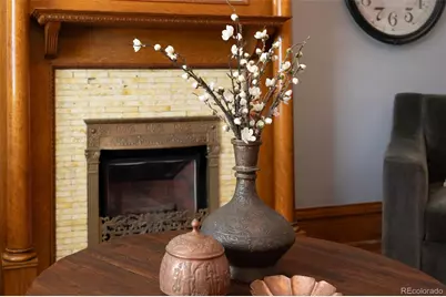 349 S Grant Street, Denver, CO 80209 - Photo 9